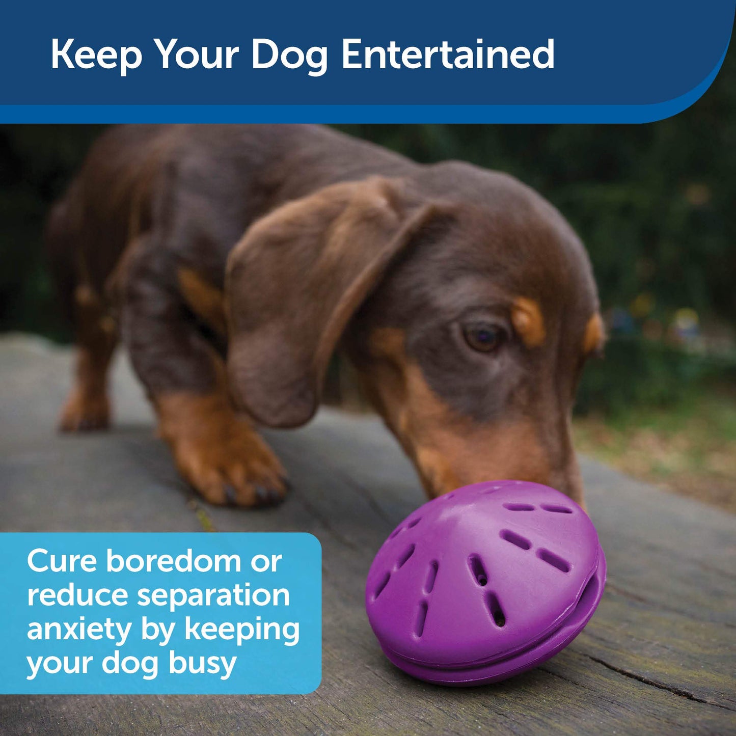 PetSafe Busy Buddy Twist'n Treat - BPA-Free Adjustable Meal Dispenser & Training Toy - Interactive Enrichment for Hard Chewers - Compatible with Hard & Smearable Treats - Helps Clean Teeth - Small