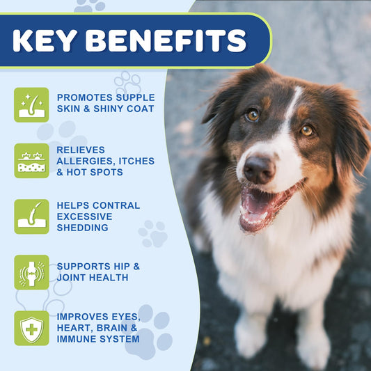 NATURE TARGET Glucosamine for Dogs - Omega 3 Fish Oil for Dogs