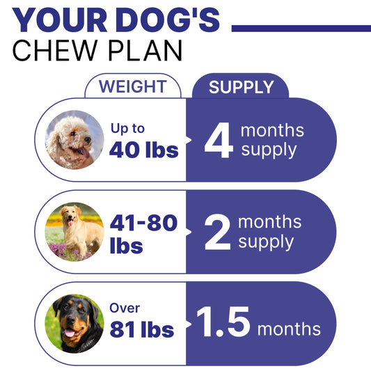 Pawsential Advanced Probiotics for Dogs Digestive Health with Enzymes Fiber - Diarrhea Gas Upset Stomach Relief Treats - Seasonal Allergy Support - Dog Probiotics for Digestive Health - 120 Chews
