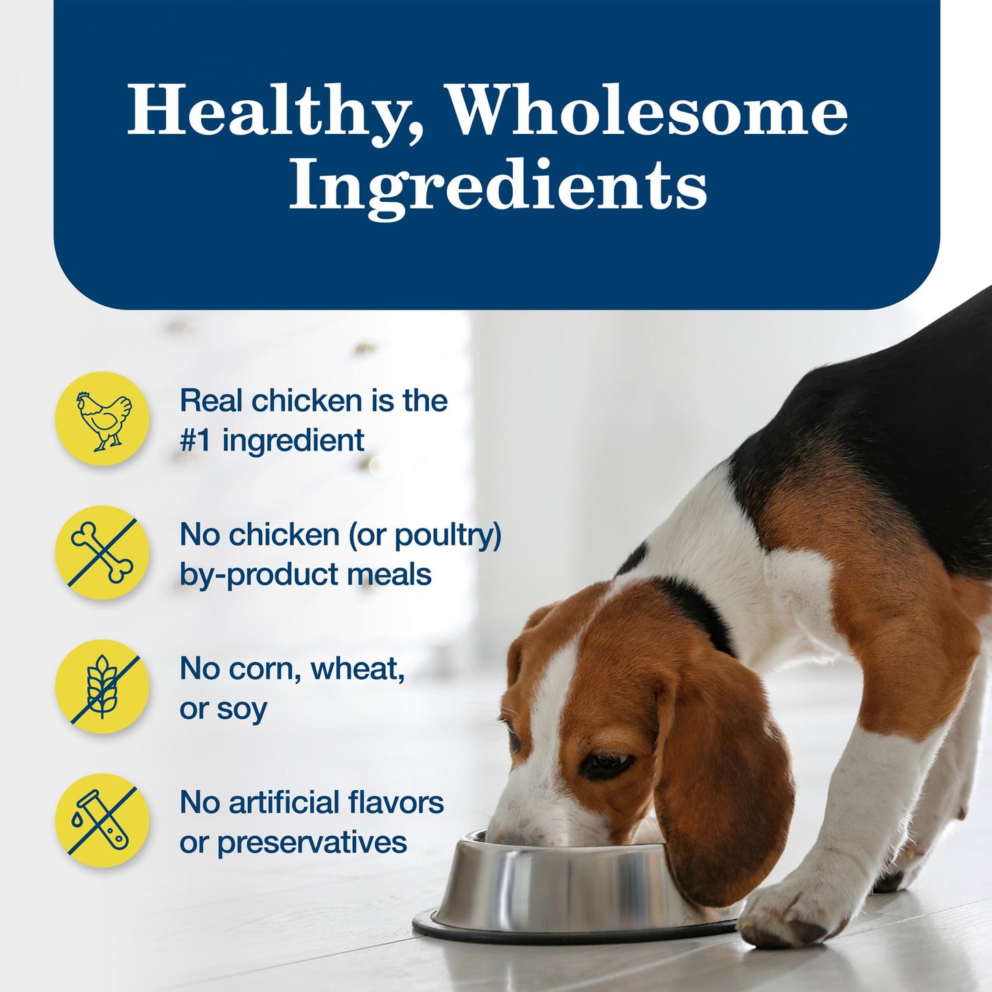Blue Buffalo Homestyle Recipe Natural Adult Healthy Weight Wet Dog Food, Chicken 12.5-oz can (Pack of 12)