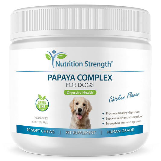 Nutrition Strength Papaya for Dogs Digestive Enzyme Complex to Support Normal Intestinal Function, Boost Immunity, with Organic Papaya Fruit + Papain, Protease & Amylase, 90 Soft Chews