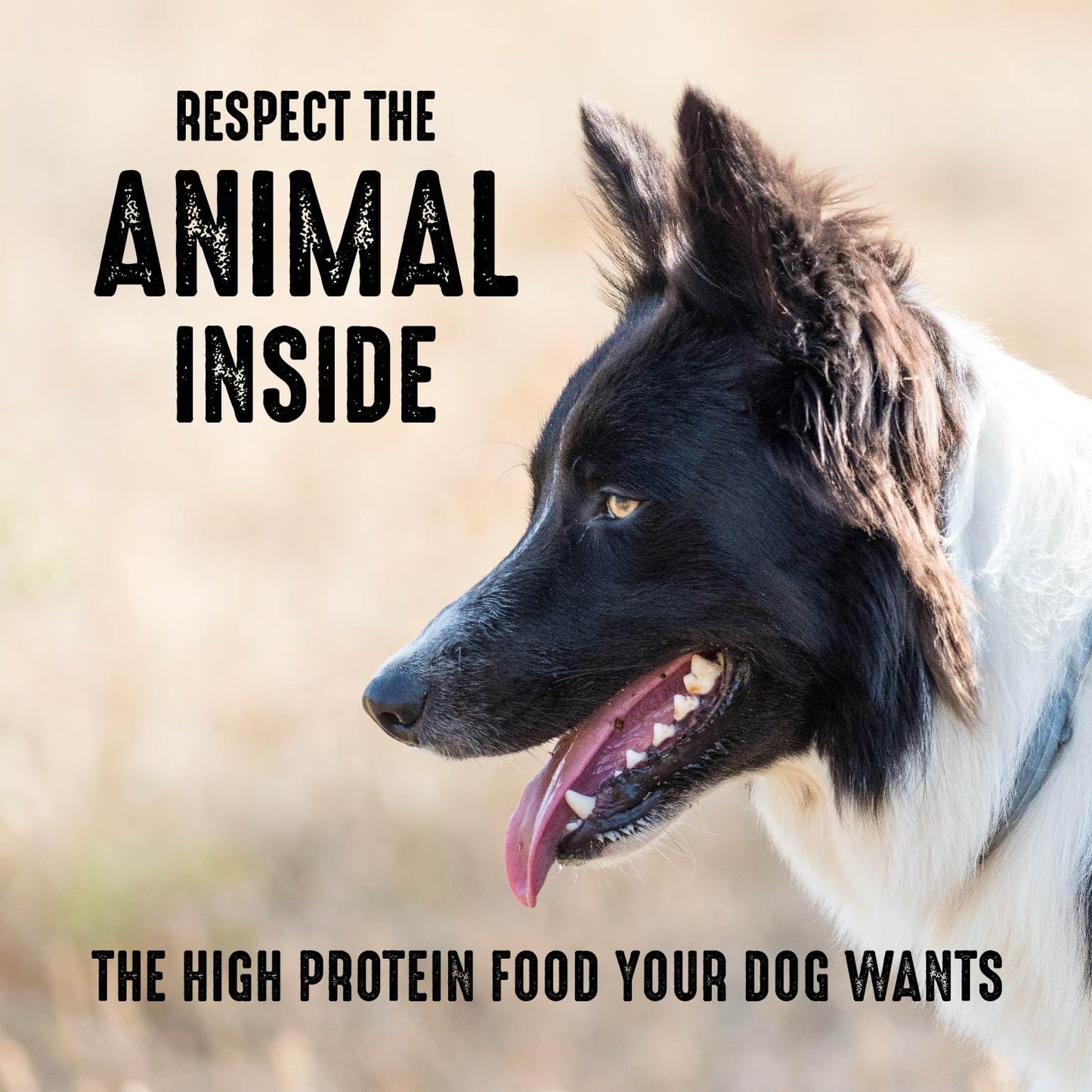 CRAVE Grain Free High Protein Adult Dry Dog Food, Chicken, 4 lb. Bag