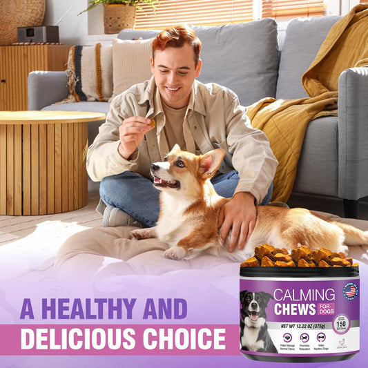 Hemp Calming Chews for Dogs 300 Calming Dog Anxiety and Stress Relief Treats Calm Bites Hemp Oil Sedative for Puppy Sleep Aid Melatonin Fireworks Noise, Thunder, Barking, Vet Visit (Chicken Flavor)