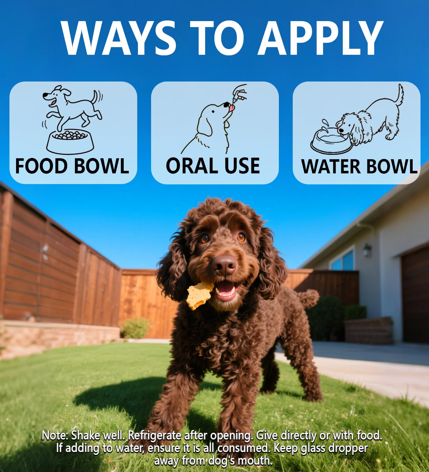 PuPulse Antibiotics for Dogs | Natura Antibiotics for Dogs | Dietary Supplement Pet Antibiotic | Dog Vitamins and Supplements | Dog Antibiotic | 2 Oz