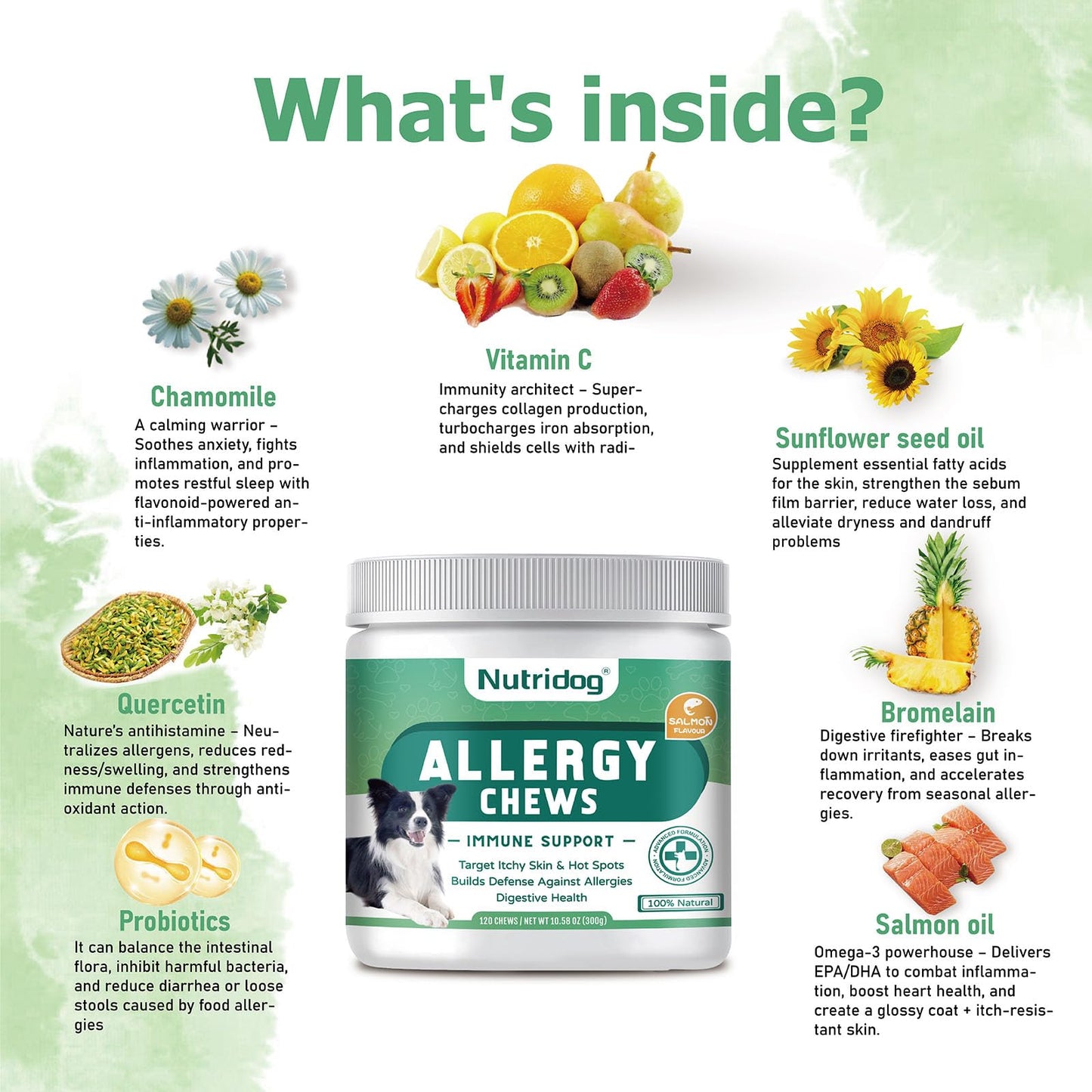 Nutridog Dog Allergy Chews 120 Count - Salmon Flavor Allergy & Itch Relief with Quercetin, 300M Probiotics | Immune Support for Itchy Skin, Hot Spots & Seasonal Allergies