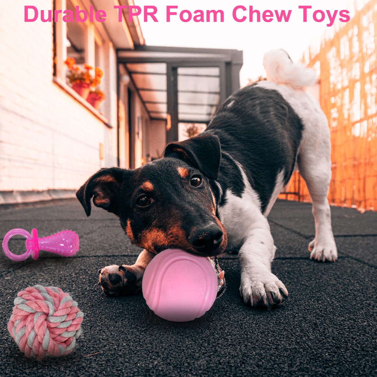 Beiker 20 Pack Pink Puppy Chew Toys - Dog Teething Toys for Puppies, Puppy Toys Toothbrush with Ropes, Soft Dogs Toy Bundle for Small Dogs, Cute Interactive Dog Balls for Chewers