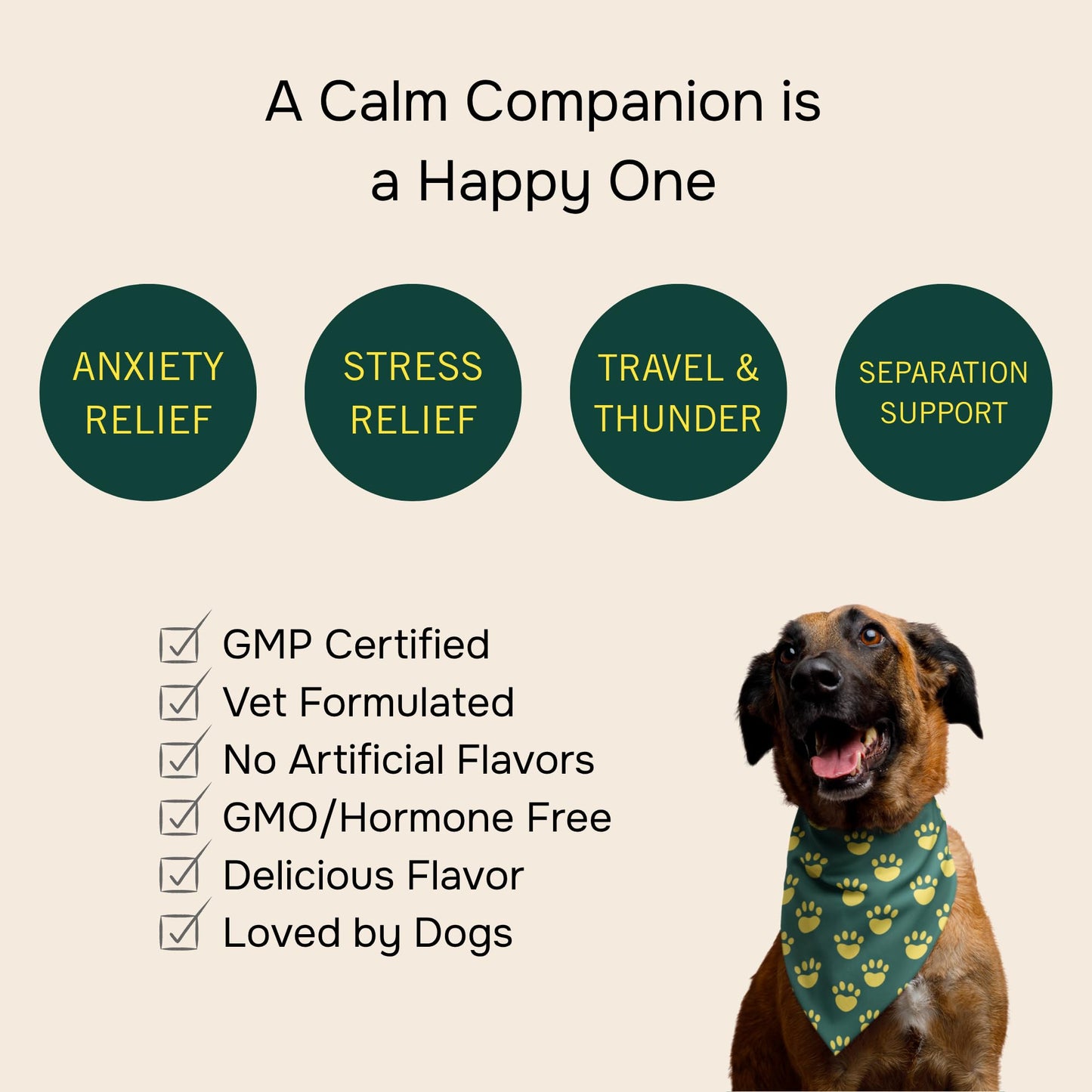 PetMeds Calm Supplement for Dogs - Anxiety & Stress Relief with Vitamins, Theanine & Lemon Balm - Supports Dogs During Travel, Thunder & Separation - Beef & Sweet Potato Flavor - 60 Soft Chews