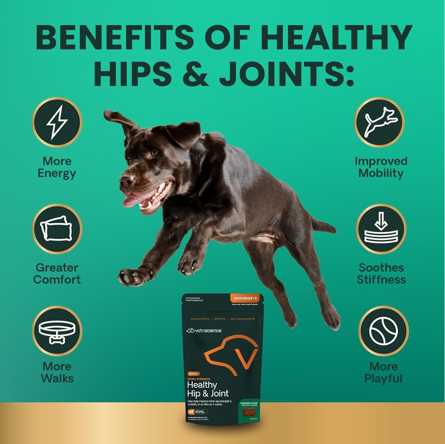 VetriScience Extra Strength Healthy Hip & Joint Chews, GlycoFlex 3, Glucosamine, Green-Lipped Mussel, Joint Support Supplement for Dogs, Promote Mobility & Soothe Joint Discomfort, Chicken, 120 Count