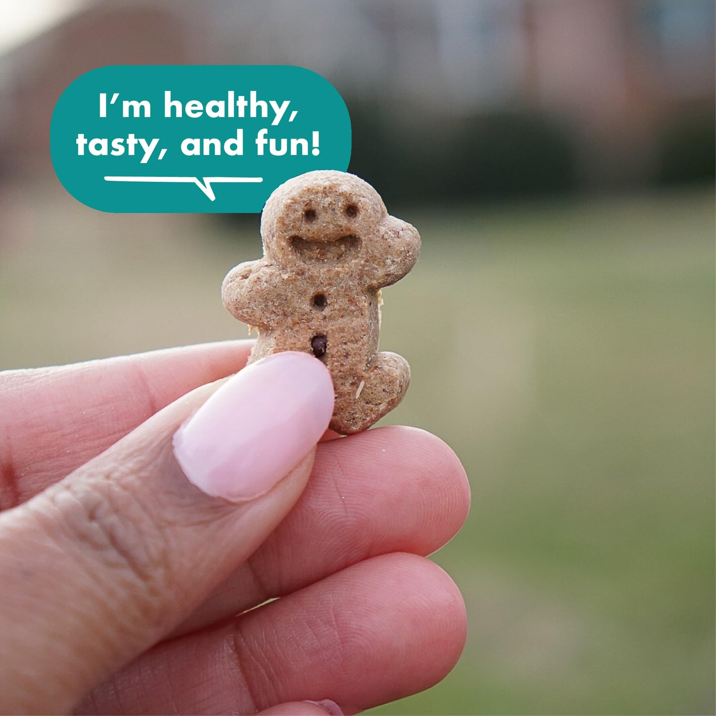 Buddy Biscuits Boosters 5 oz. Bag of Hip and Joint Soft Chews Dog Treats Made with Natural Chicken