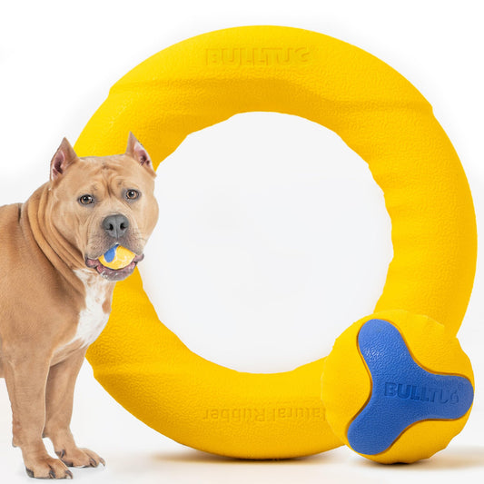 Harry Barker Durable Rubber Treater Toy - XL