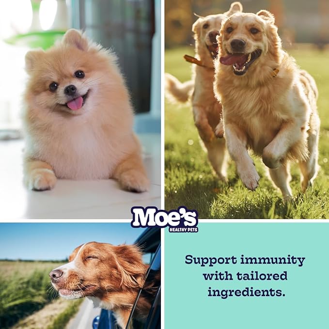 Moe’s Probiotic Chews for Dogs 90ct – Pumpkin Flavor Prebiotics & Probiotics for Gut Health, Digestion, Immunity and Itchy Skin Relief
