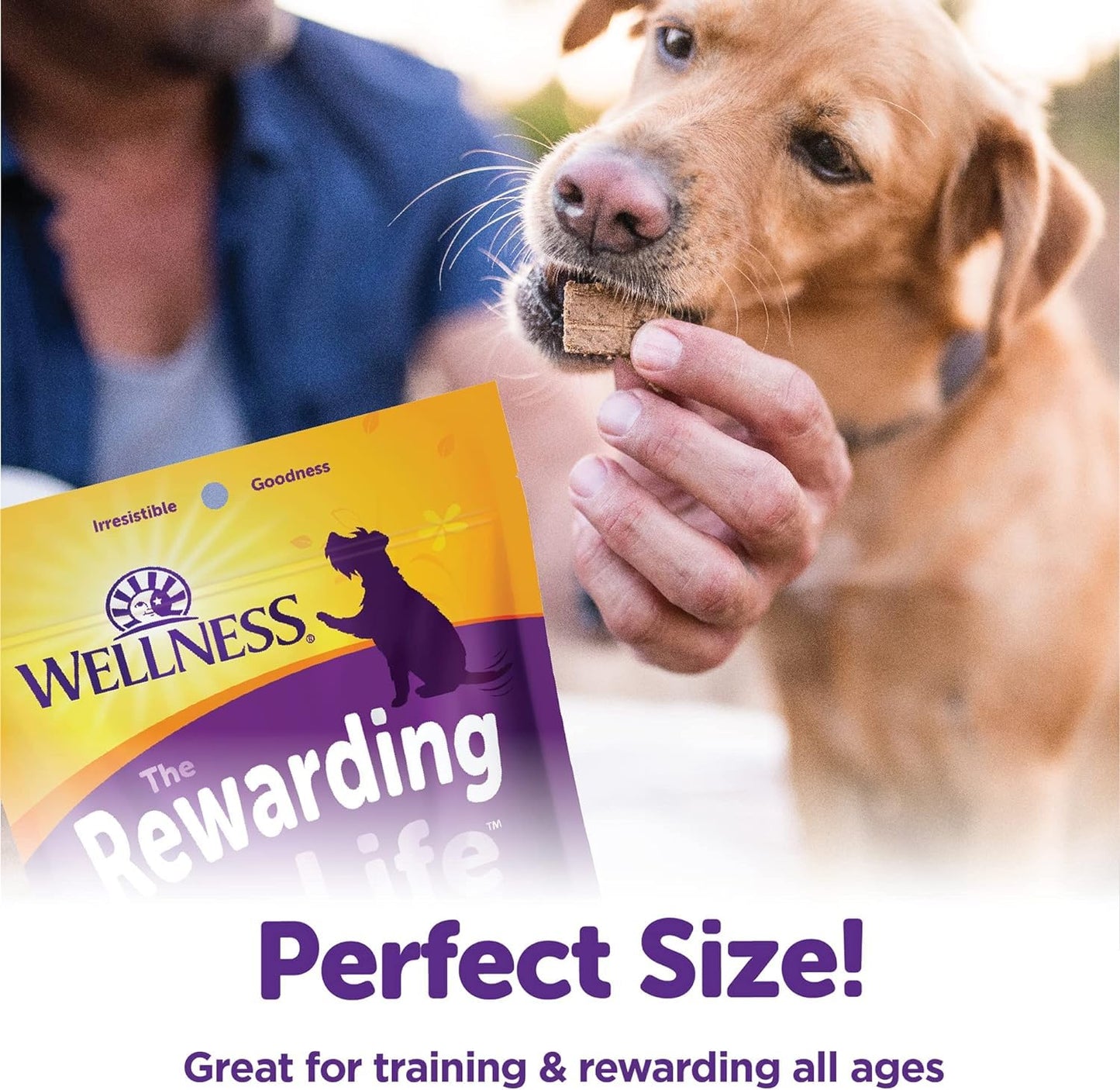 Wellness Rewarding Life Soft & Tasty Training Rewards for Dogs. 2pk Variety Bundle: (1) Beef & Turkey & (1) Chicken & Venison, 6oz Bags