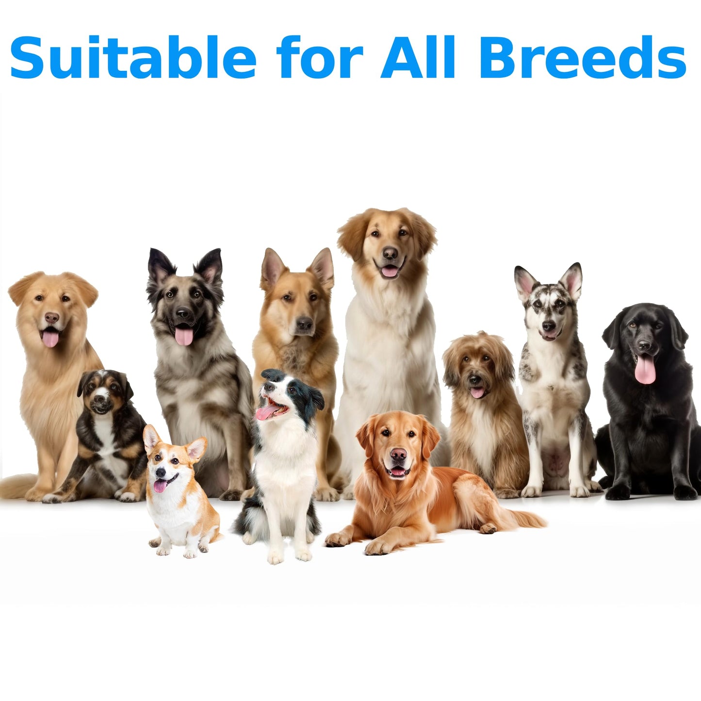 No Poo Chews for Dogs - 180 Soft Chews, Stool Eating Prevention, Gut Health Support, Odor Control, Vet-Recommended Soft Chews, Chicken Flavor