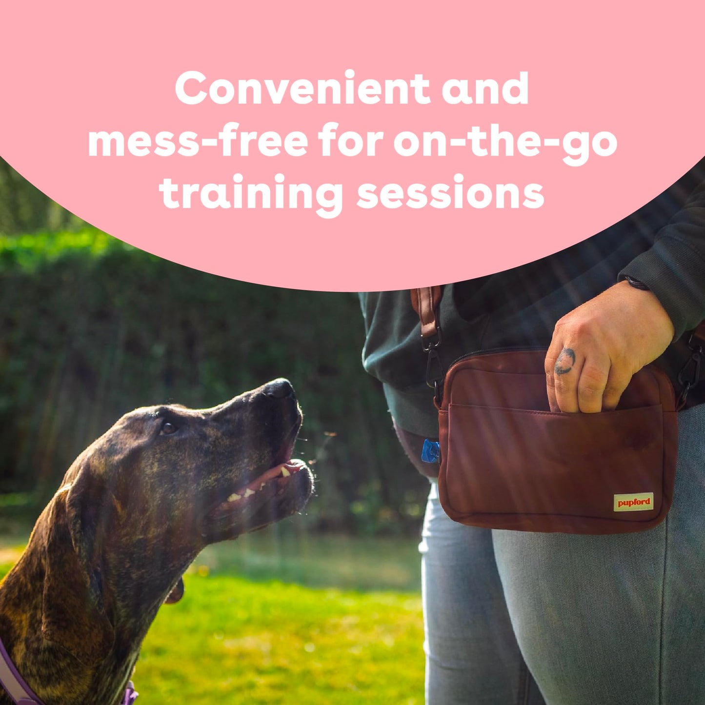 Pupford Freeze Dried Training Treats for Dogs & Puppies, 225+ Two Ingredient Bites (Salmon, 2 oz)