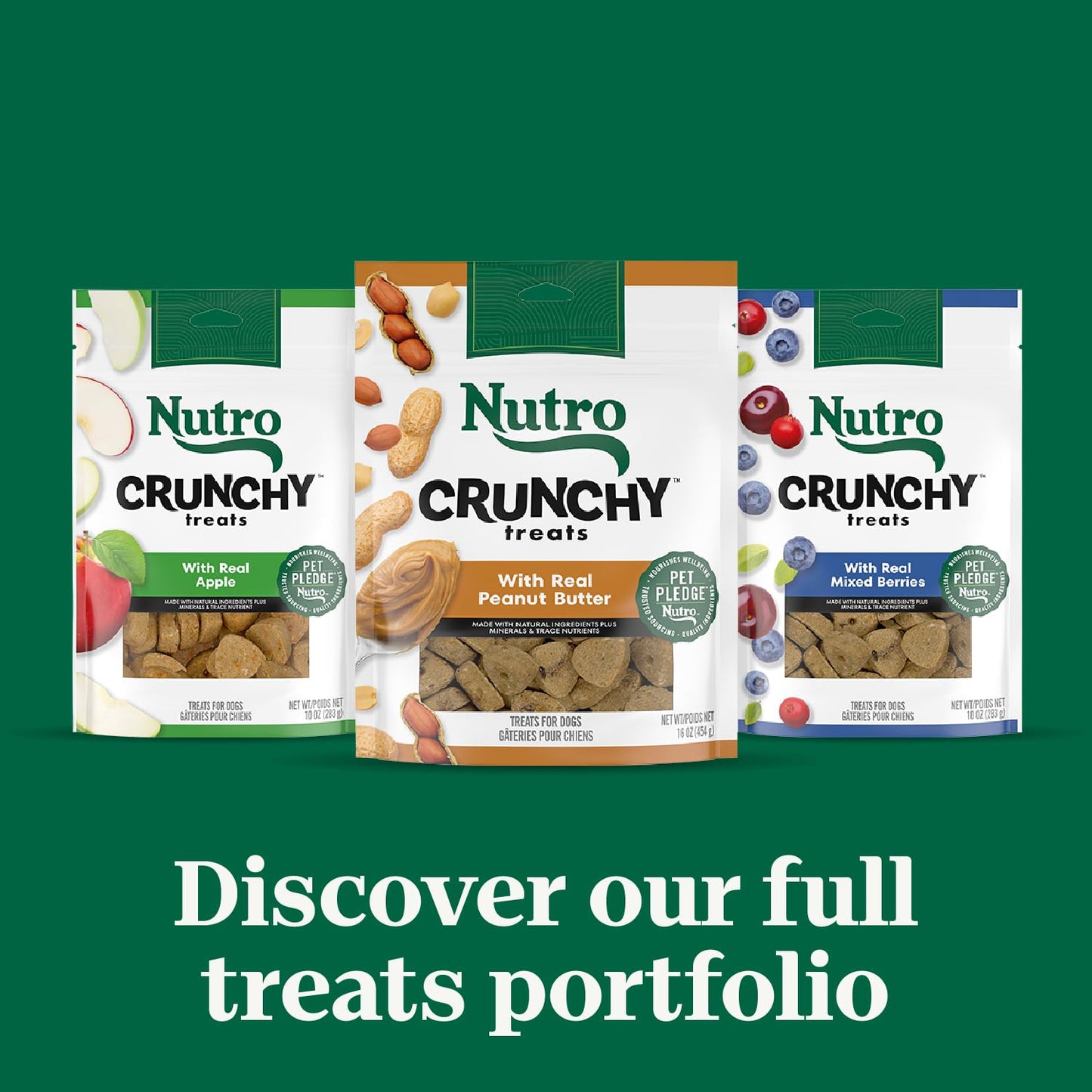 Nutro Crunchy Dog Treats with Real Mixed Berries, 10 oz. Bag