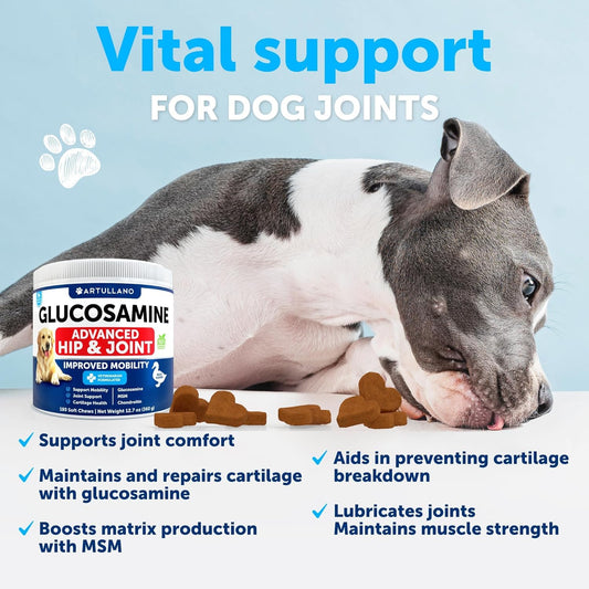Glucosamine for Dogs - Hip and Joint Supplement for Dogs with Arthritis - Chews with Chondroitin, Hemp Oil, MSM - Canine Joint Pain Relief Health - Mobility Support for Large Breeds - 180 Soft Treats