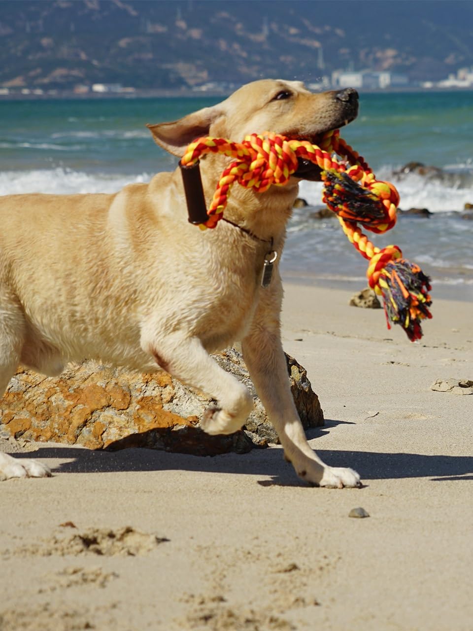 Fejapa Large Dog Rope Toys for Aggressive Chewers - Pitbull Tug of War, Heavy Duty, Outdoor, Medium to Large Breed Dog Chew Rope with Handle