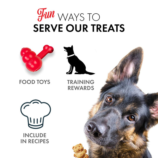 Grandma Lucy's - Organic Baked Dog Treats - Pumpkin - 14Oz