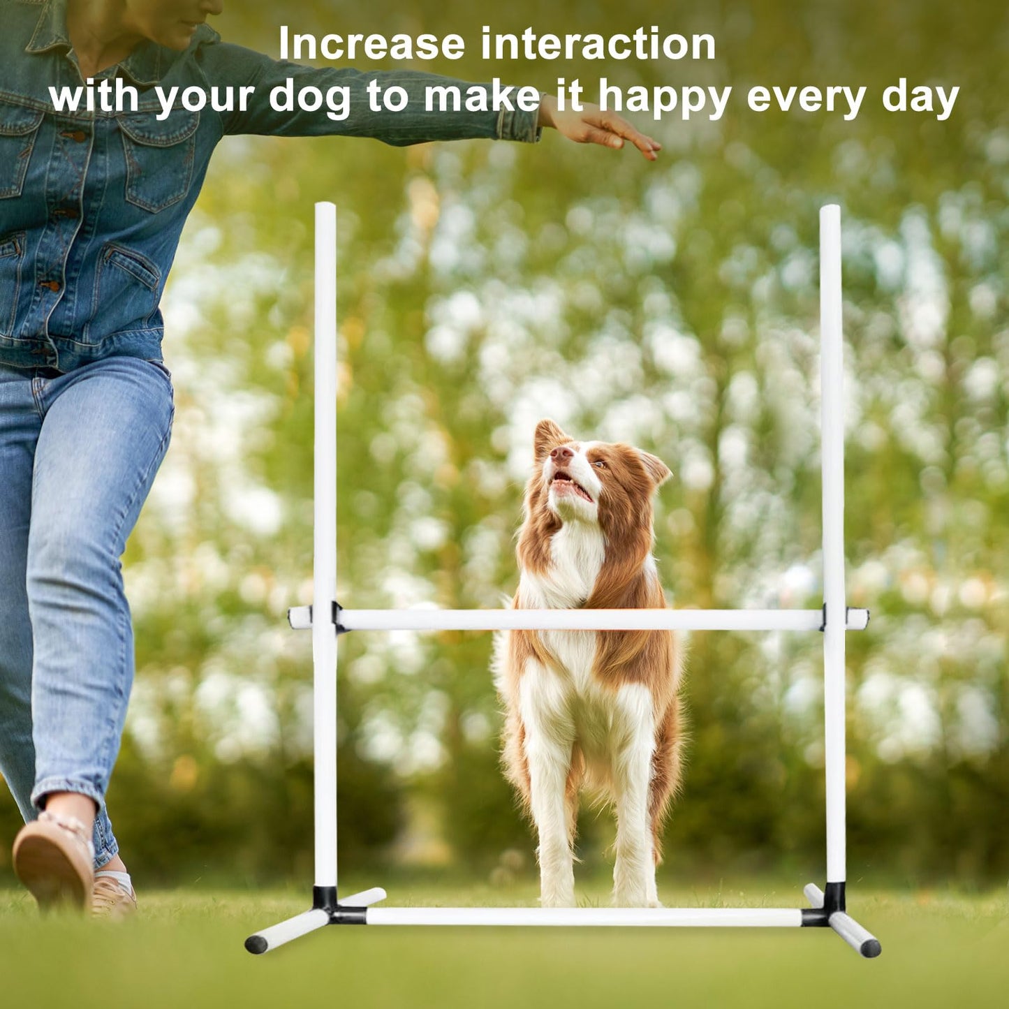 plzzree Dog Agility Jump Training Equipment: Dog Agility Jumps Course with Adjustable Height Jump Bars Included Carry Bag - Dog Jumping Hurdles Training Set Indoor & Outdoor