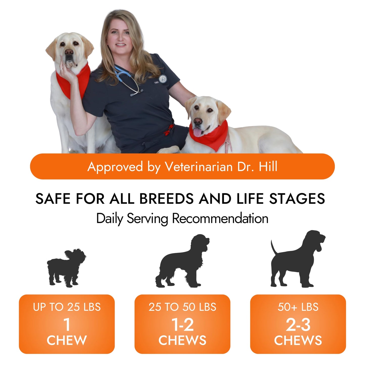 Pet Vet Products Dog Hip and Joint Supplement - Glucosamine for Dogs (Beef Liver, 60 Chews) - Dog Joint Supplement with MSM, Chondroitin, Vet Approved Dog Vitamins -Mobility Joint Pain Supplements