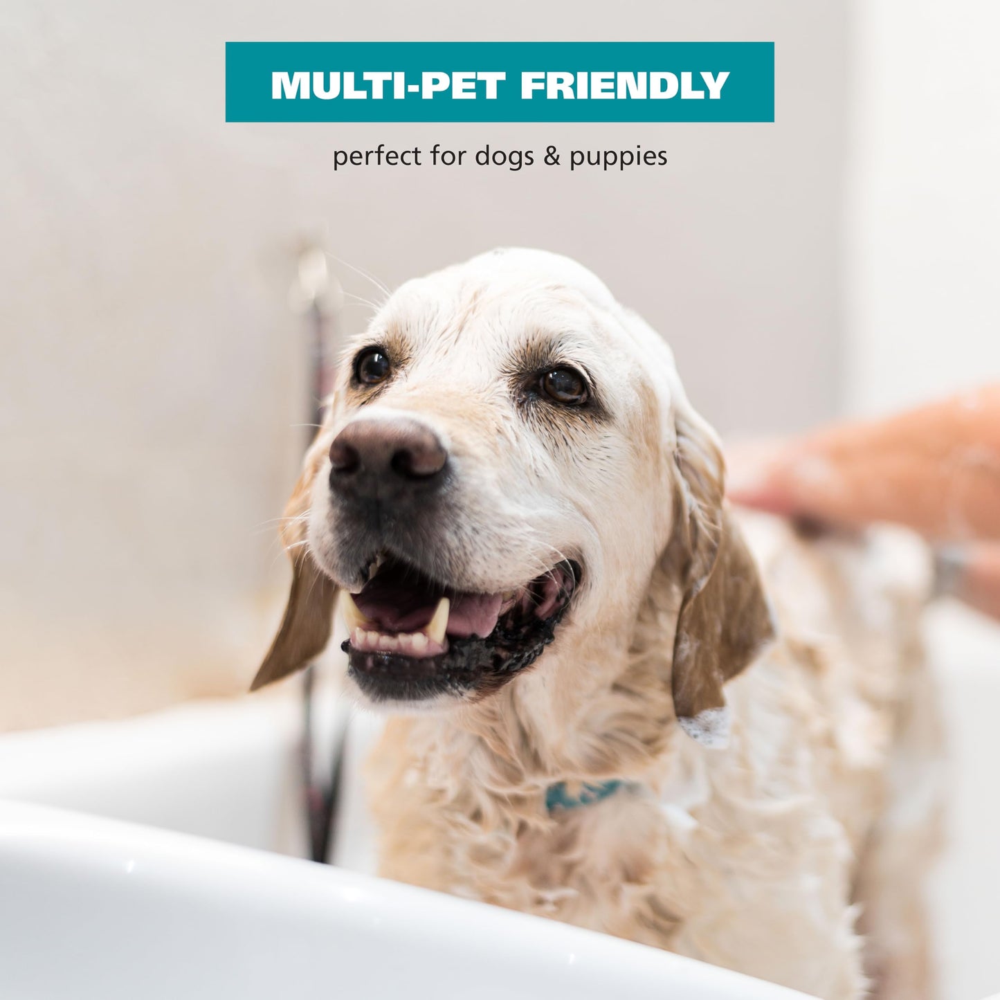 Wahl USA Extra Gentle Hypoallergenic Dog Shampoo – Plant Based for Sensitive Skin - pH Balanced, Alcohol Free, Paraben Free, PEG-80 Free Formula - Fragrance and Dye Free, 24 Oz – Model 3025811