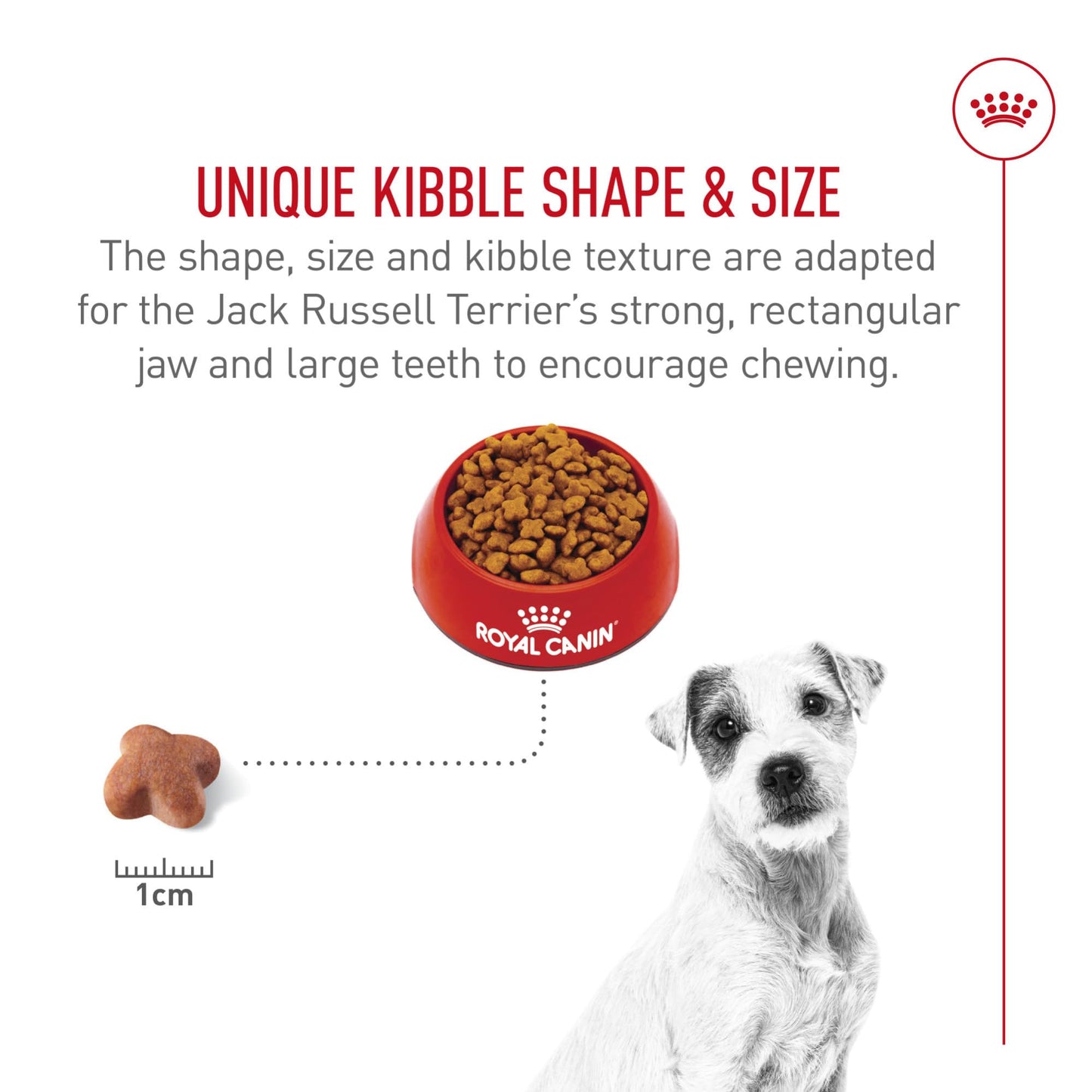 Royal Canin Jack Russell Terrier Adult Dry Dog Food, 10 lb bag