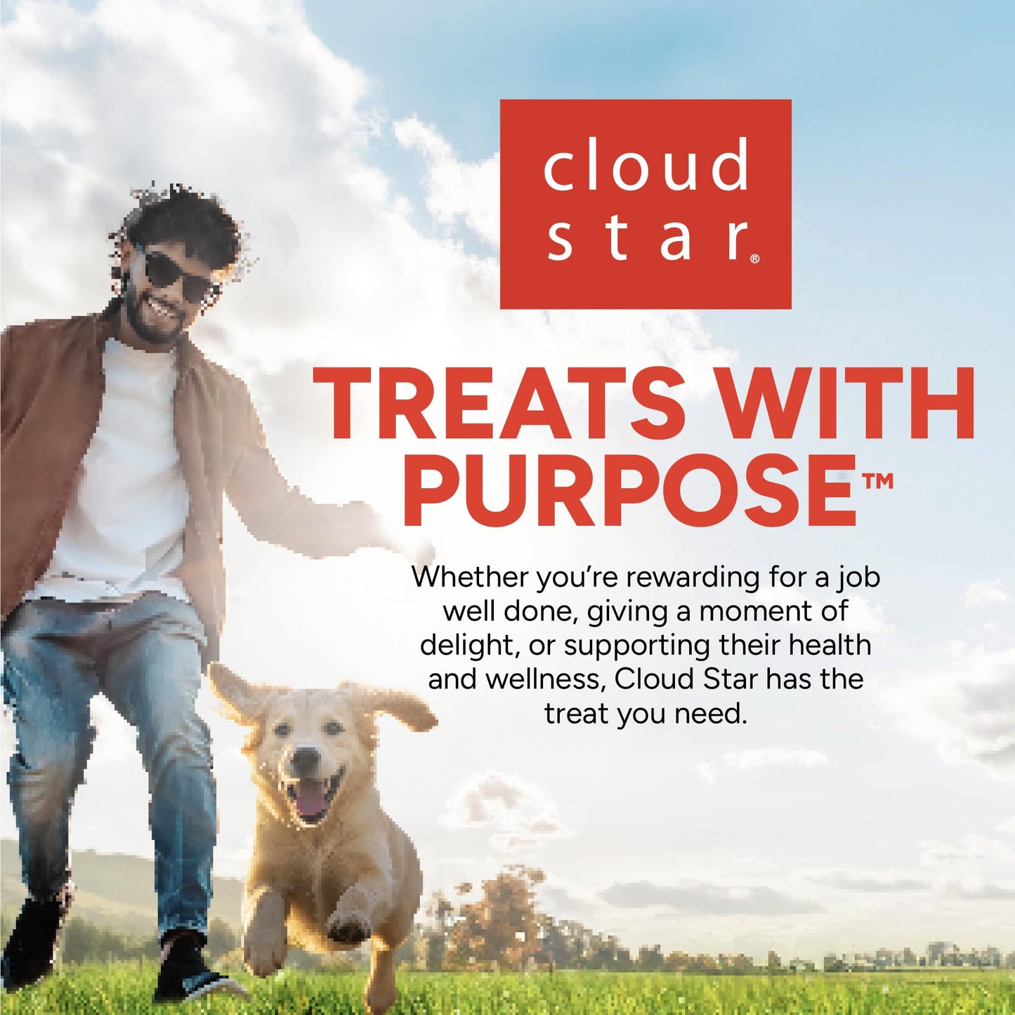 gazeupon Dog Treats，Chicken&Duck Wrapped Sweet Potato，Healthy Training Snacks for Dogs, Rawhide Free,14.1 oz