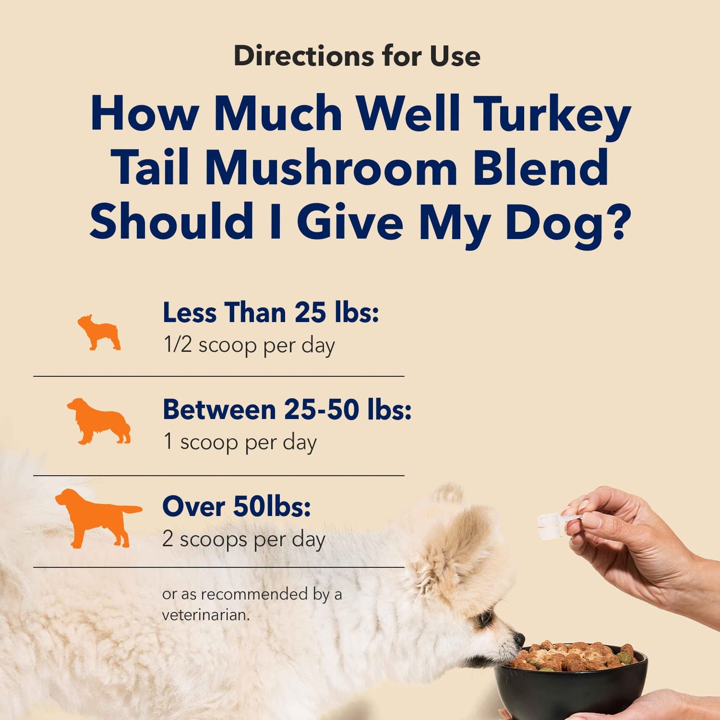 Honest Paws Dog Shampoo and Conditioner - Plant Based, All Natural & Dog Digestive and Immunity Booster with Turkey Tail Mushroom Blend - Bundle