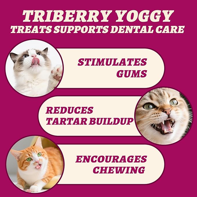 Wellix Freeze-Dried Cat Treats for Dog&Cat - Triberry Cat&Dog Yogurt Treats with Chicken Flavor Fruits - Probiotics Digestive&Immune Health Cats&Dogs Food Toppers 4.23oz