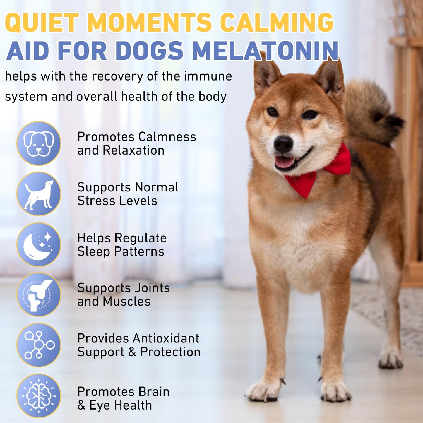 Tetra Dog Melatonin, Quiet Moments Calming Aid for Dogs Melatonin, Effective Anxiety Relief, Dog Sleep Aid for Dogs &Cats, 60 Ml