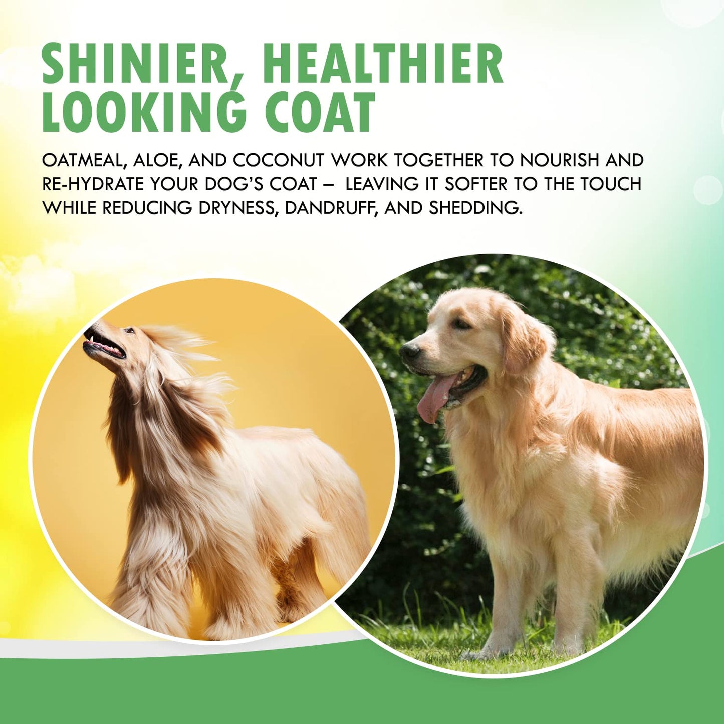 Wondurdog Fur Foam Dog Shampoo with Oatmeal, Coconut and Aloe. Hypoallergenic, Softens Coat, Moisturizes Dry Skin, Restores Shiny, Lathers from Bottle. (16.9oz)