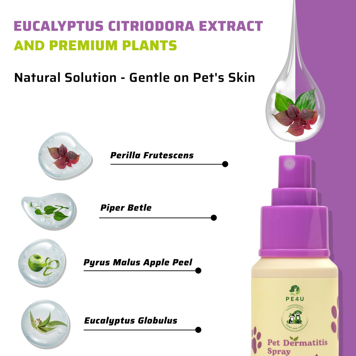PE4U Pet Relief Spray for Dogs & Cats - Natural Perilla Leaf Extract, Safe for Sensitive Skin - Soothes Itching, Reduces Dermatitis, Protects & Refreshes - [Spray + Shampoo + GIF]