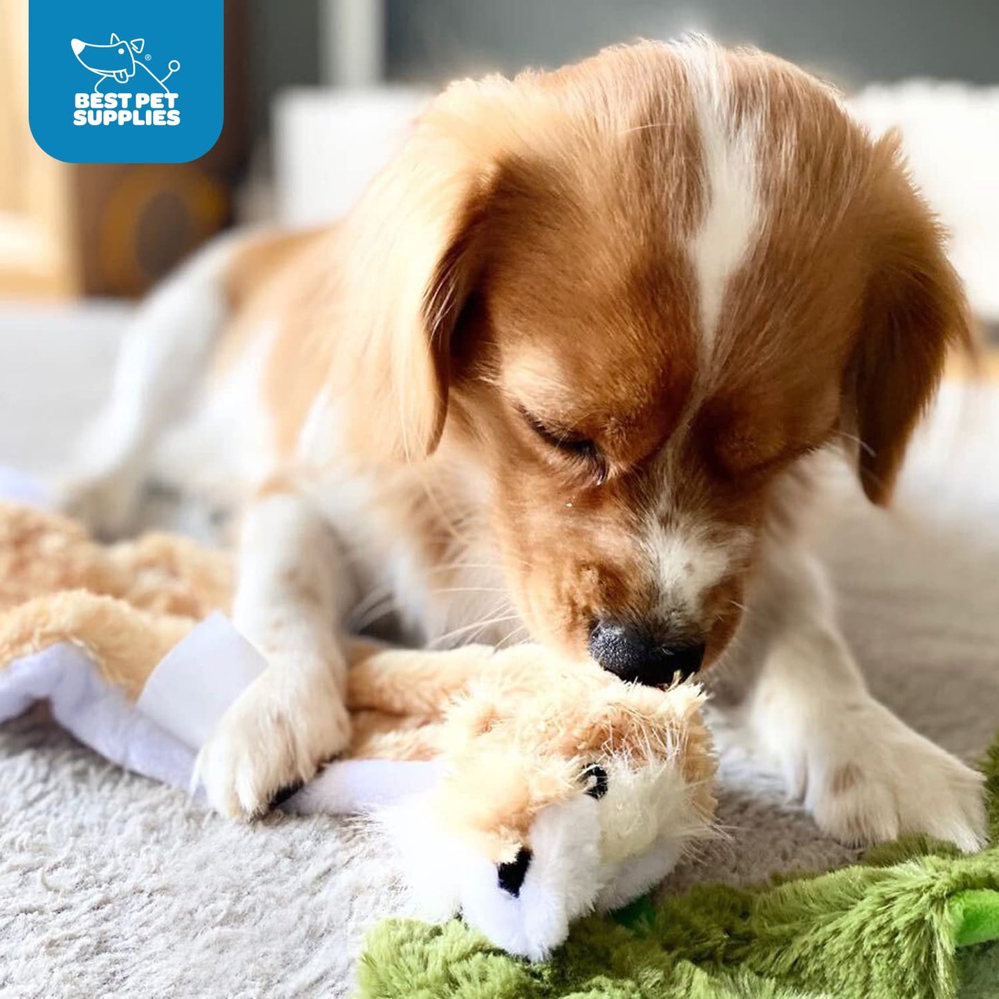 Best Pet Supplies 2-in-1 Stuffless Squeaky Dog Toys with Soft, Durable Fabric for Small, Medium, and Large Pets, No Stuffing for Indoor Play, Holds a Plastic Bottle - Alligator, Large (Pack of 3)