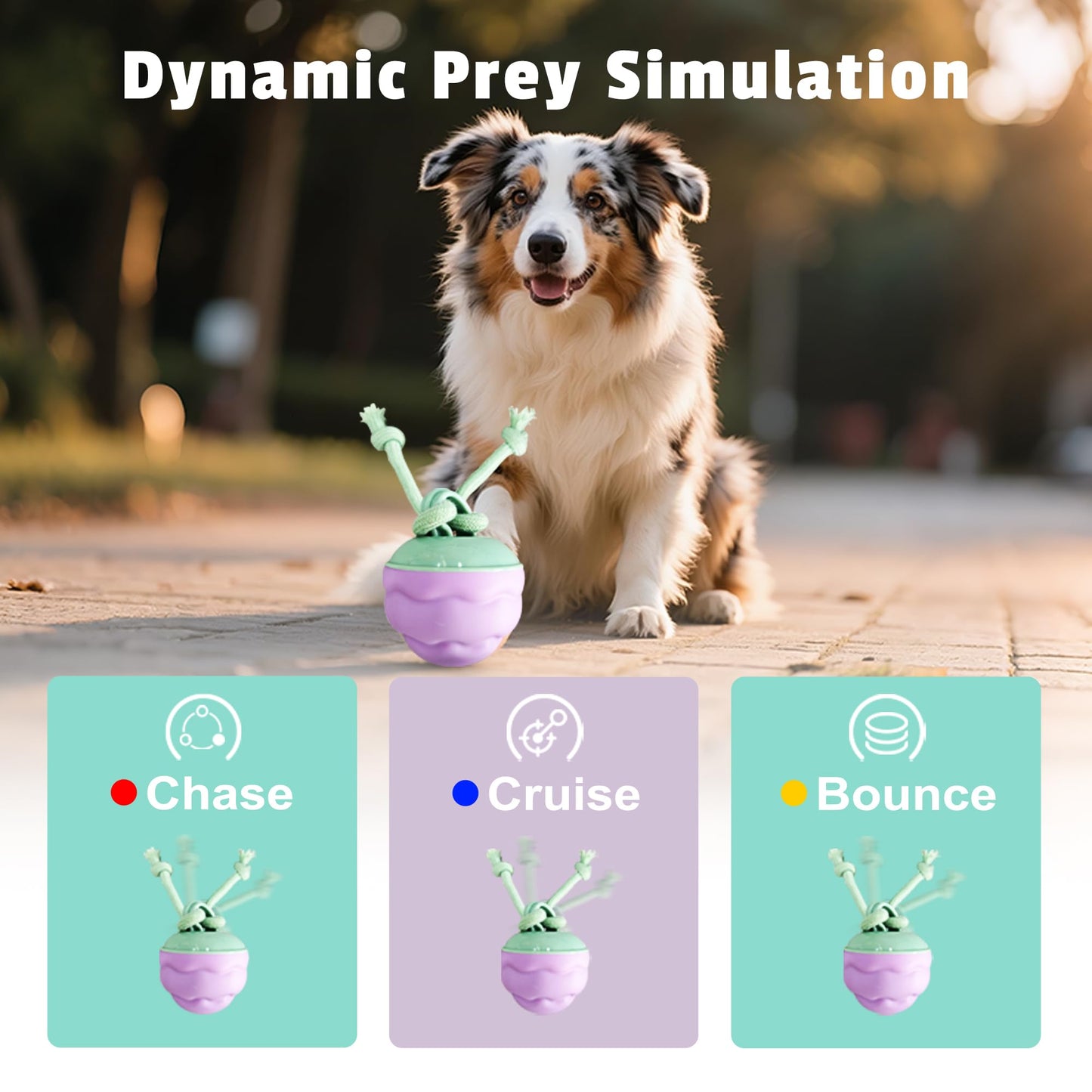 Zelunika Interactive Dog Toys [2025 Upgrade] – Smart Dog Ball, Automatic Motion-Activated Rolling, Random Path, Squeaky Sounds, USB-C Rechargeable LED Light, Indoor/Outdoor Use