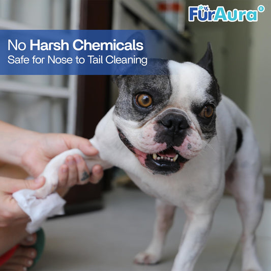 FurAura Dog Aqua Wipes – 99% Water Pet Grooming Wipes for Sensitive Dogs, Puppies & All Breeds, Hypoallergenic, Puppy Essentials, for Cleaning Paws, Face, Ears, Tear Stain & Butt, Unscented 100 Count