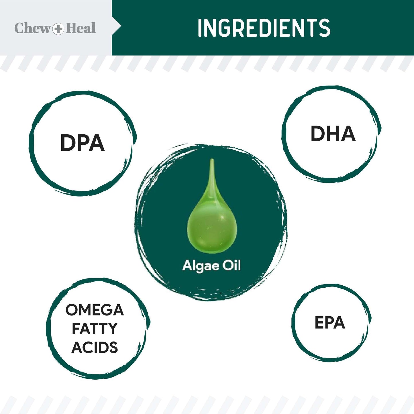 Vegan Omega 3 Oil for Dogs - 8 oz of Fish Free Algae Oil for Healthy Skin and Coat - Made with Omega 3 and 6 Fatty Acids, EPA, DHA, and DPA - Made in The USA