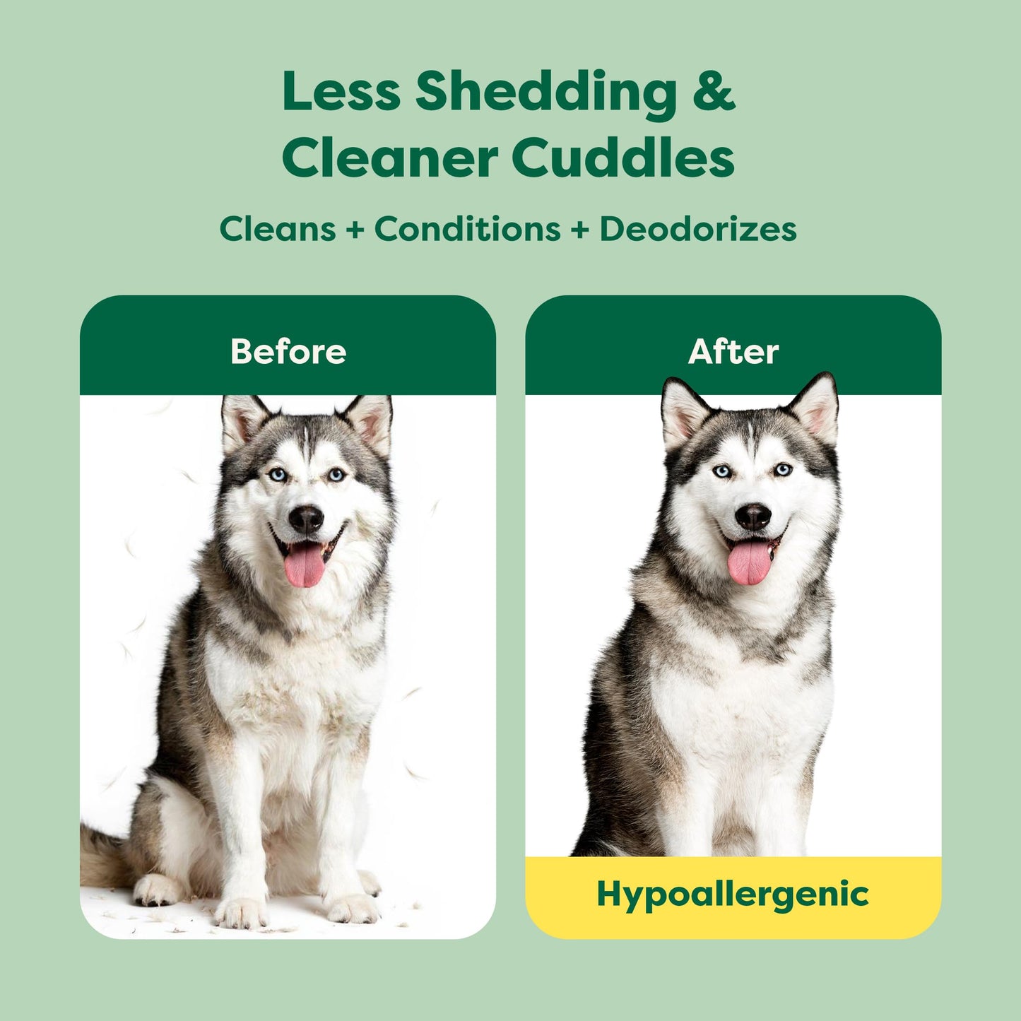 Earth Rated 3-in-1 Deshedding Dog Shampoo and Conditioner, Deodorizing Oatmeal Shampoos for Dogs and Puppies, Great for Smelly Pets, White Tea and Basil Scent, 16 oz