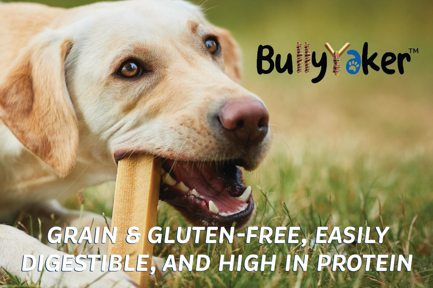 BULLYYAKER Cheese Chews: Himalayan Yak Cheese Dog Chews- Natural, Healthy & Long Lasting Dog Treats - Grain, Gluten & Lactose-Free Rawhide Alternatives, Small 3 Pack, 6 Oz