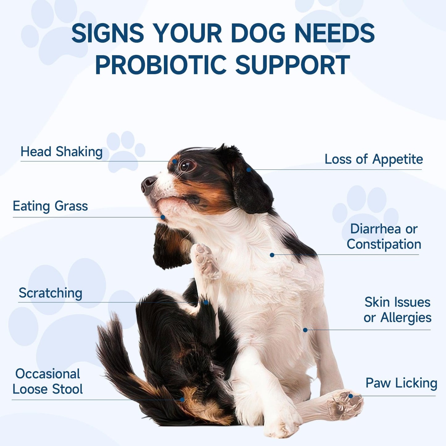 Woyamay 3-in-1 Dog Calming Diffuser & 200 Soft Probiotic Chews Bundle – Daily Support for Anxiety, Stress, Digestion & Immunity – A Soothing, Gut-Friendly Combo for a Healthier, Happier Pup