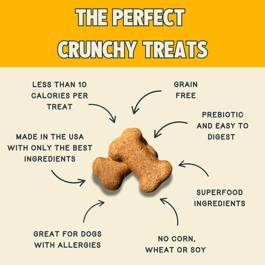 Jiminy's Crunchy Peanut Butter & Blueberry Dog Treat, Hypoallergenic, Prebiotic, Tummy Friendly, Low Calorie, Alternative Cricket Protein, Sustainable, 5oz (Pack of 1)