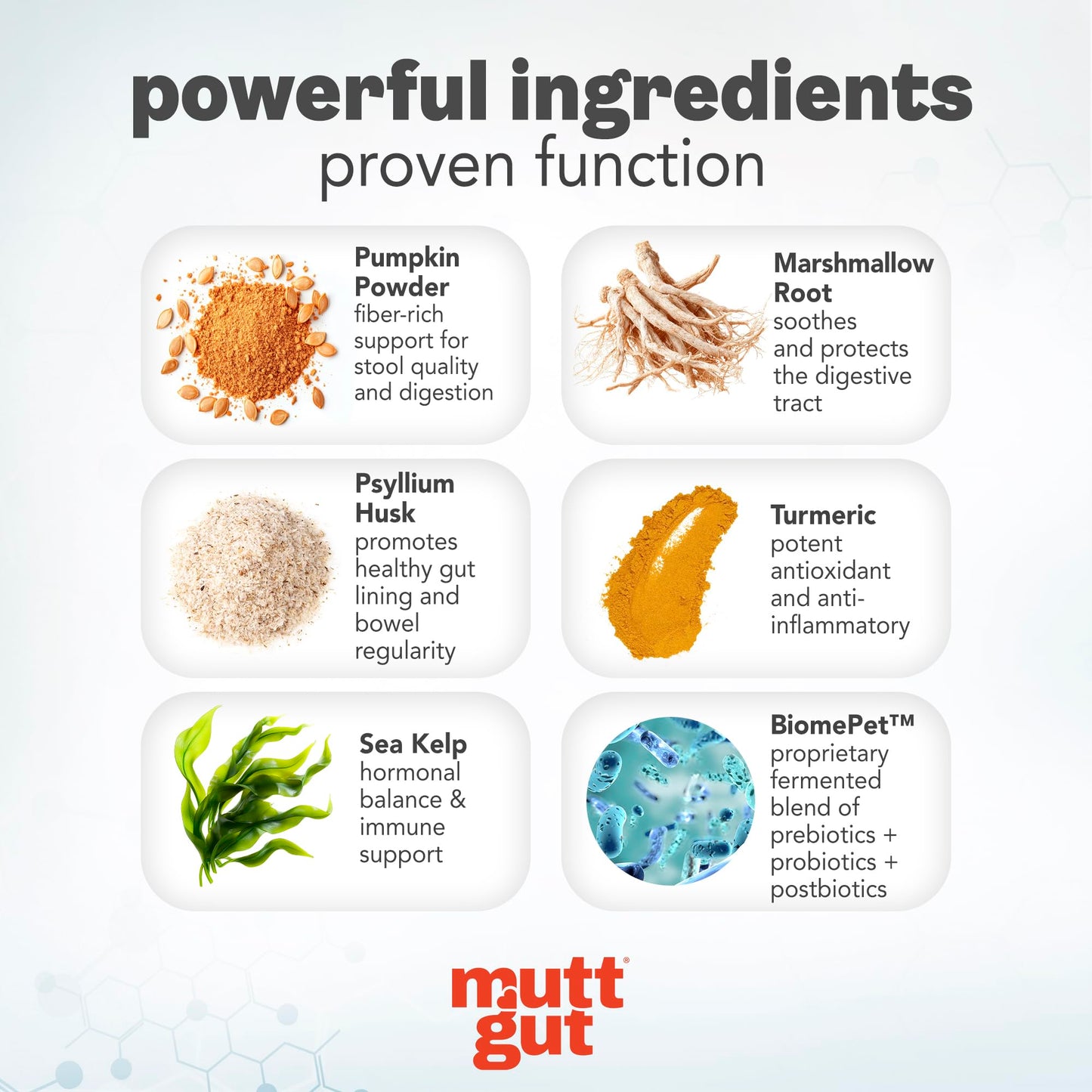 MuttGut® 3-in-1 Puppy & Dog Probiotics + Prebiotics + Postbiotics Chews - Promotes Digestive Health, Supports Immune System and Overall Health - Dog Diarrhea Relief & Immune Support - 60 Soft Chews