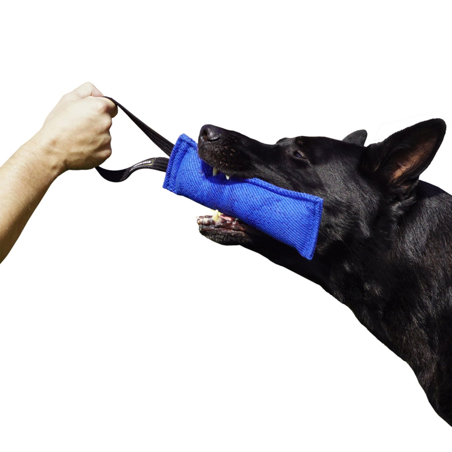Dingo Gear French Linen tug Toy for Dog, Bumper Toy for Training, Agility, tug of war, bite Pillow for Strong Dog, 1handle 11in Blue S00061
