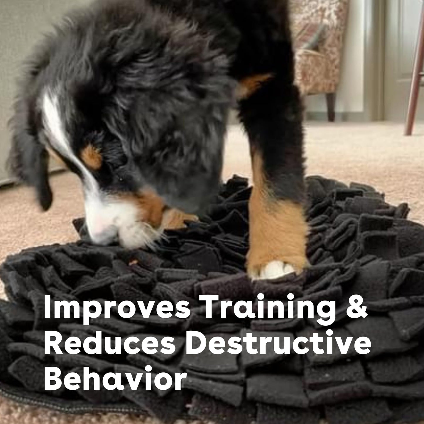 Pupford Snuffle Mat for Dogs, Mental Enrichment Puzzle Toy for Training, Anxiety Relief & Boredom Reduction (18.5” x 12.5”, Black)
