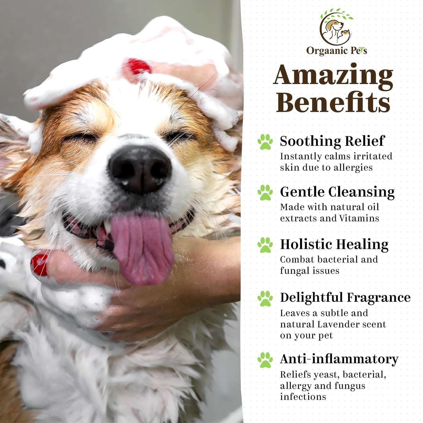 Anti-Itch Dog Shampoo: with 9 Natural Essential Oils and Ingredients - RELIEVES discomfort from Skin Allergies -Moisturizing - Anti-inflammatory - Calming