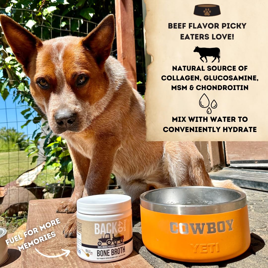 Back40Dog Complete Health Powder Bundle – Organic Sea Kelp16 oz, Grass-Fed Beef Bone Broth 6.4 oz & Organic Pumpkin Powder 8.1 oz – Thyroid, Joint & Digestive Support