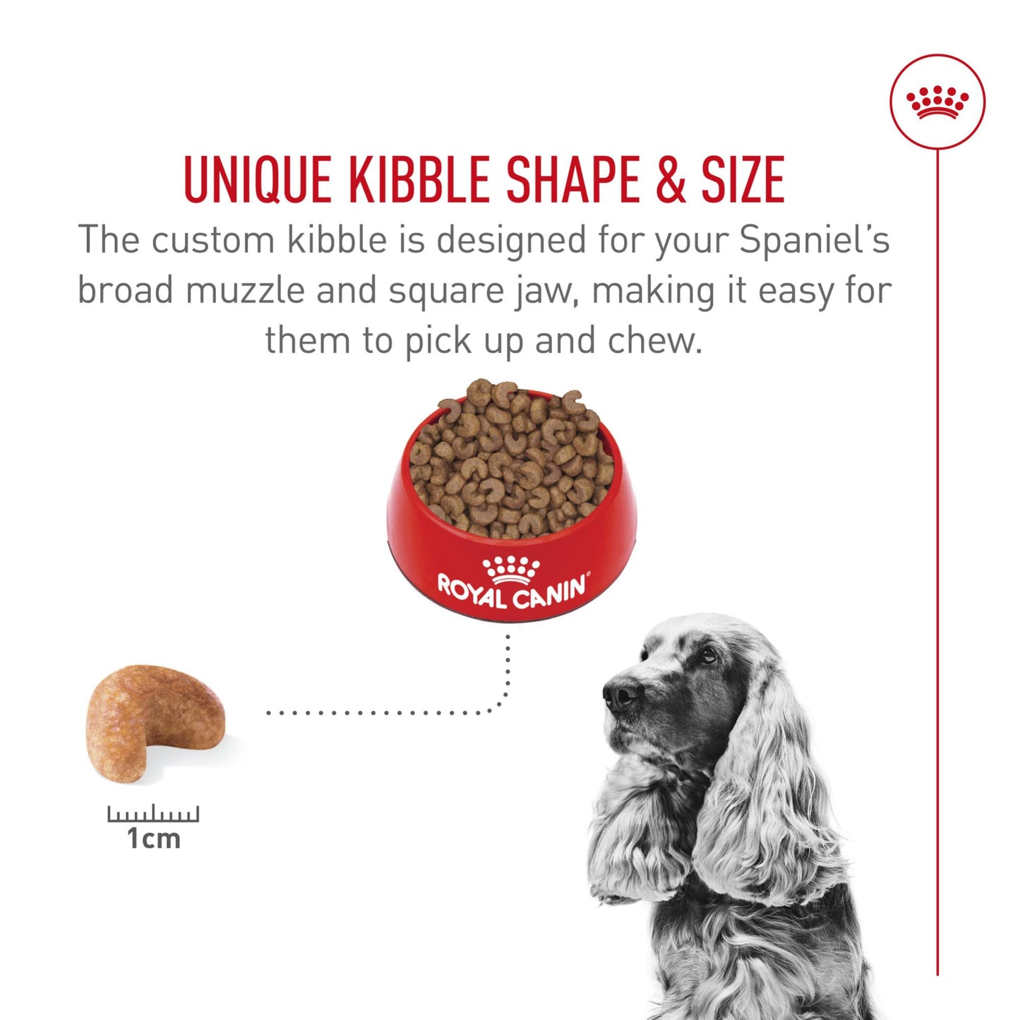 Royal Canin Cocker Spaniel Adult Dry Dog Food, 25 lb bag