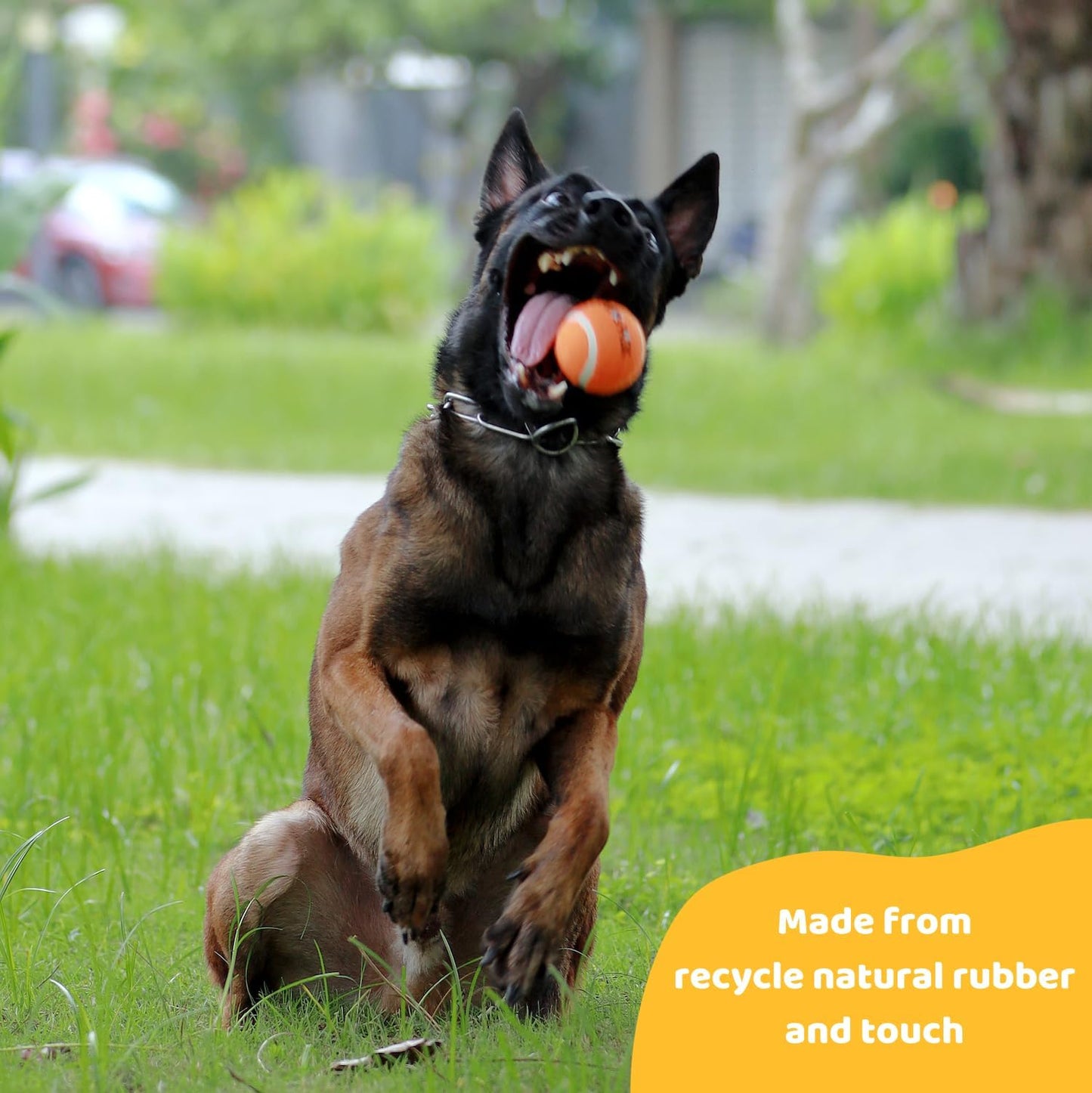 Pup's Pick Squeaky Tennis Balls - 2.5" Fun Dog Balls for Fetch, 12-Pack in Bright Colors (Yellow, Blue, Pink, Orange), Includes 1 Reusable Carry Bag