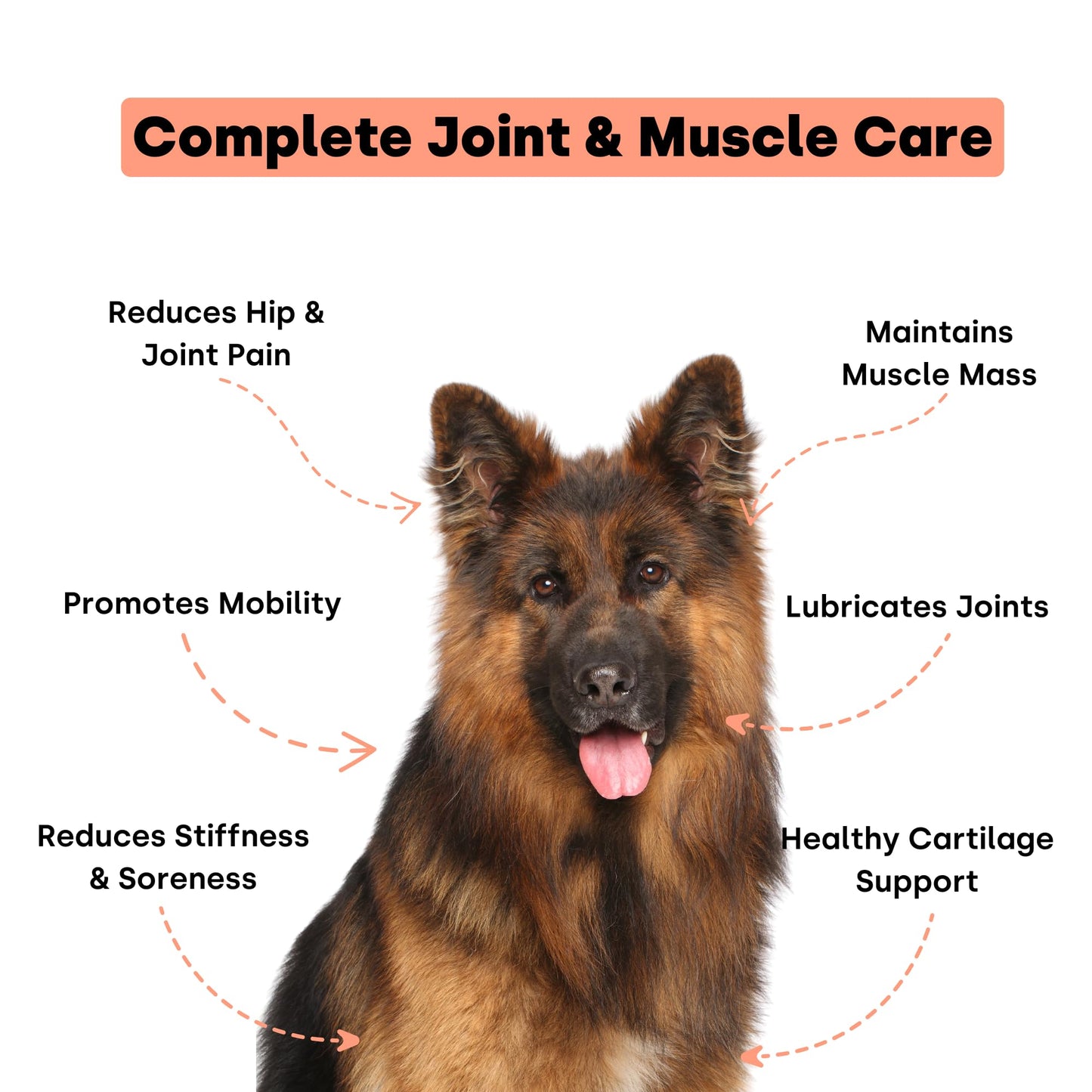 Joint & Recovery | 2-in-1 Joint & Muscle Chews. Help Reduce Pain & Increase Daily Activity. Helps with Arthritis and Pain Prevention. Tasty Trout Flavor.
