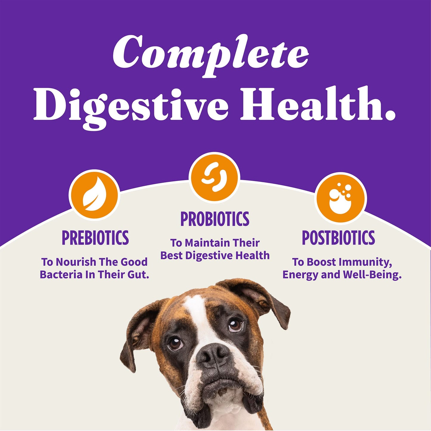 Halo Holistic Dog Food Cage Free Chicken & Sweet Potato Formula, Grain Free Dry Dog Food, Complete Digestive Health, Kibble for Adult Dogs, 3.5 lb Bag