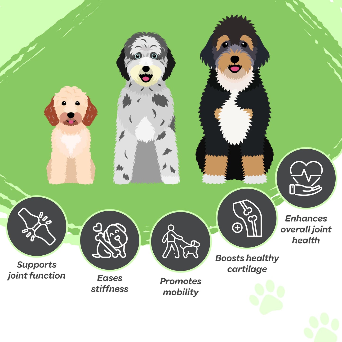 NutraDoodle Mobile Dood Hip and Joint Supplement for Dogs – Senior Dog Supplements with Omega 3, Glucosamine Chondroitin, Vitamin C – 60 Soft Chews